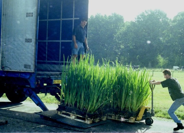 Complete beplanting voor vijvers van ca 15.000 tot 20.000 ltr geleverd per vrachtauto