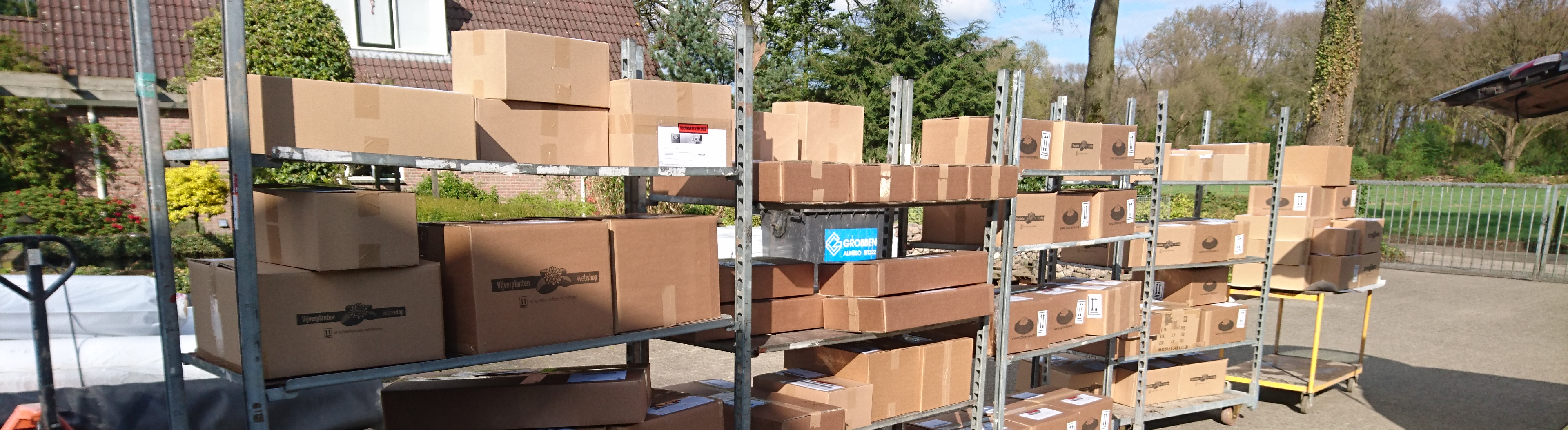 Vijverplanten per 2 manden/soorten, 60 tot 100 cm diepte, 